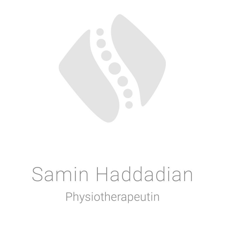SAN-Samin-Haddadian