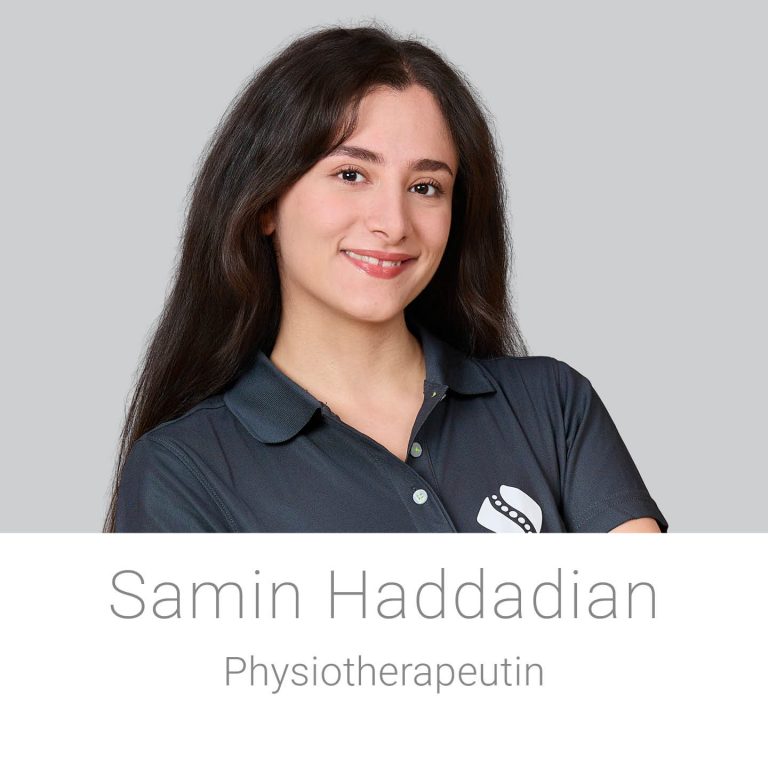 SAN-Samin-Haddadian